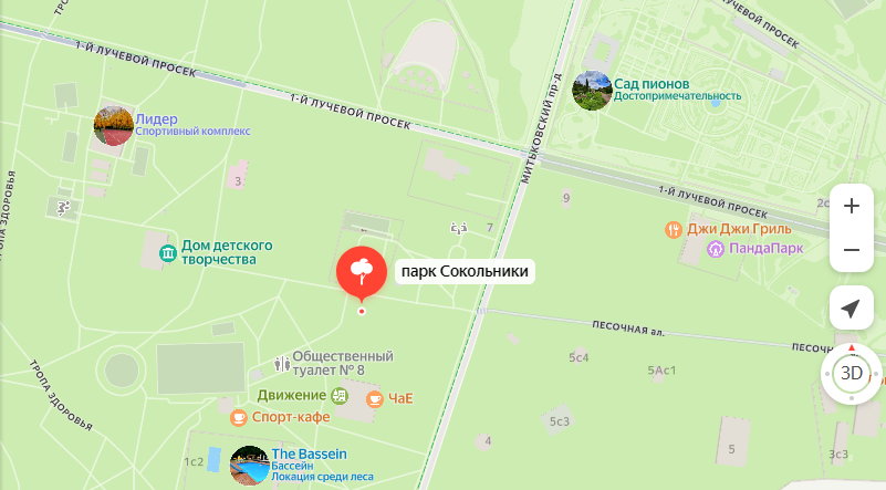 Парк Сокольники, место выступления .JPG